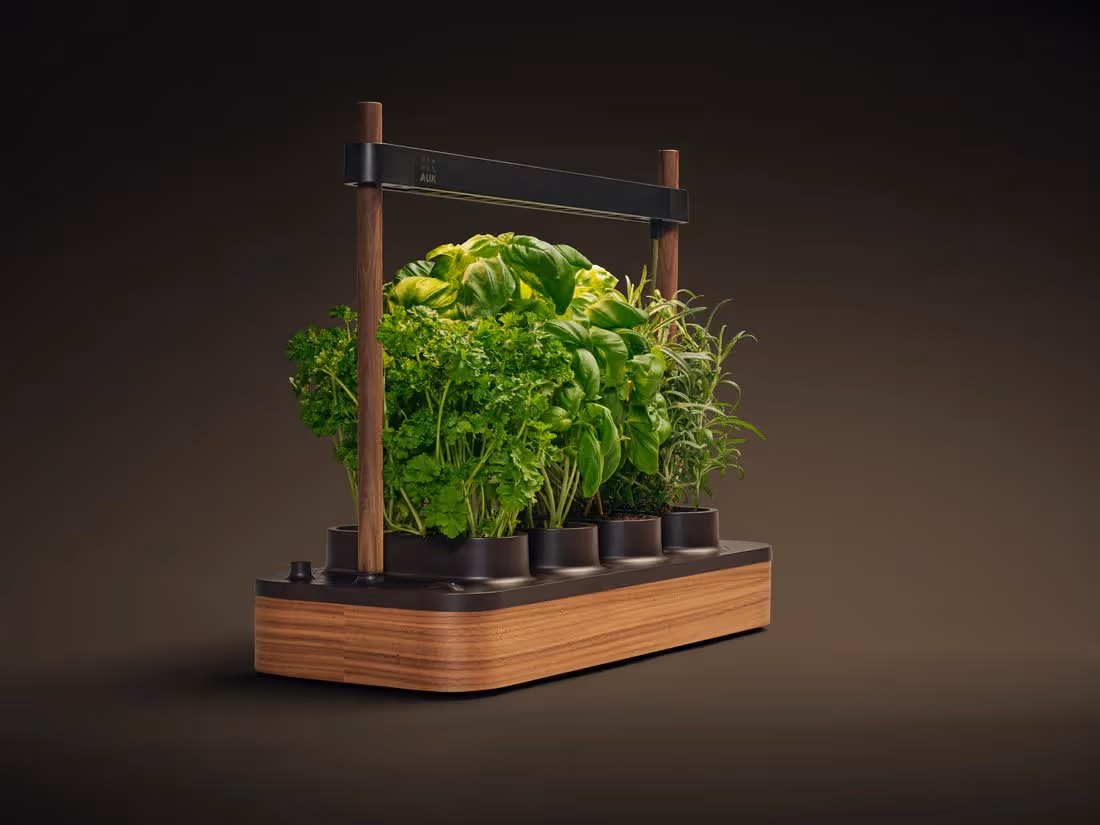 Auk Eco — innendørs hydroponi